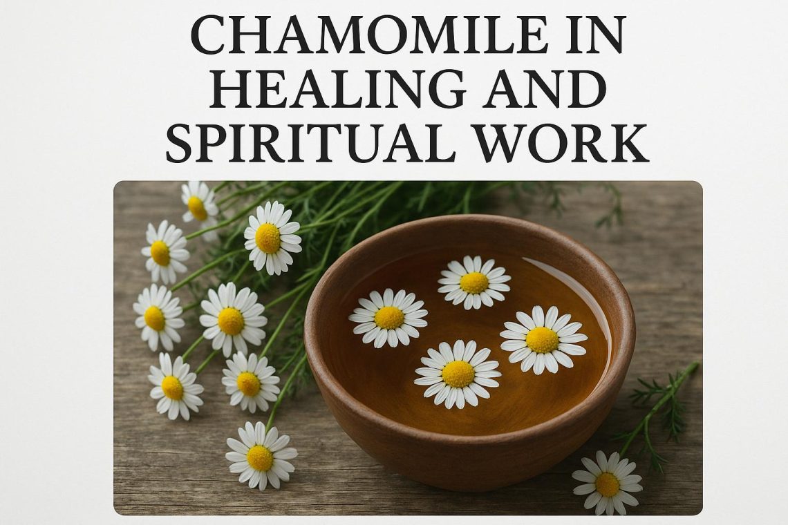 Chamomile in Healing and Spiritual Work